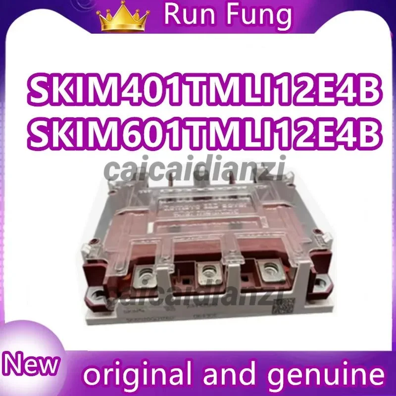 SKIM601TMLI12E4B SKIM401TMLI12E4B