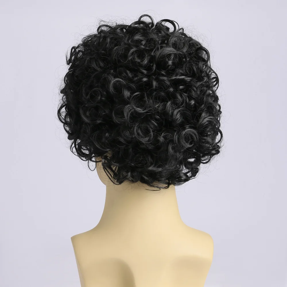 Synthetic Short Curly Wig Black Fake Hair Daily Party Cosplay Wigs for Man High Temperature Fiber