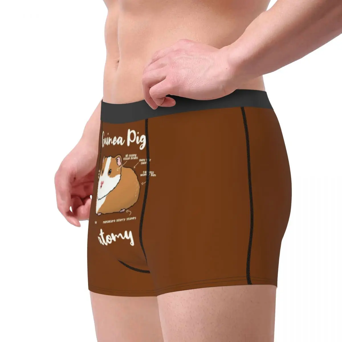 Custom Anatomy Of A Guinea Pig Boxer Shorts For Homme 3D Print Animal Underwear Panties Briefs Stretch Underpants