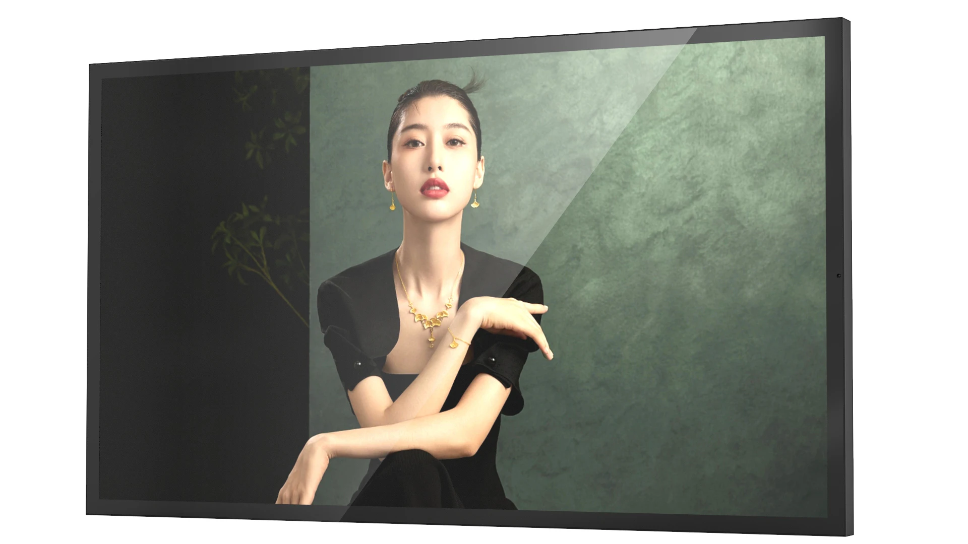 

IP66 waterproof display, digital signage and display, ultra-thin DOOH display out-of-home advertising screen