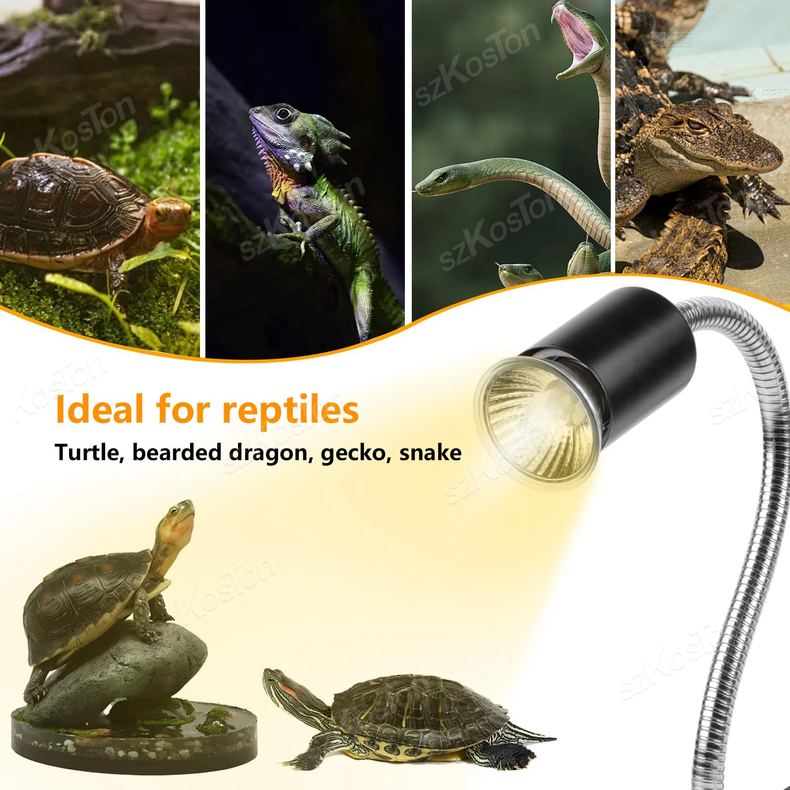 Thumbnail 3 - #14 Cheap Reptile Heat Lamps Worth Buying