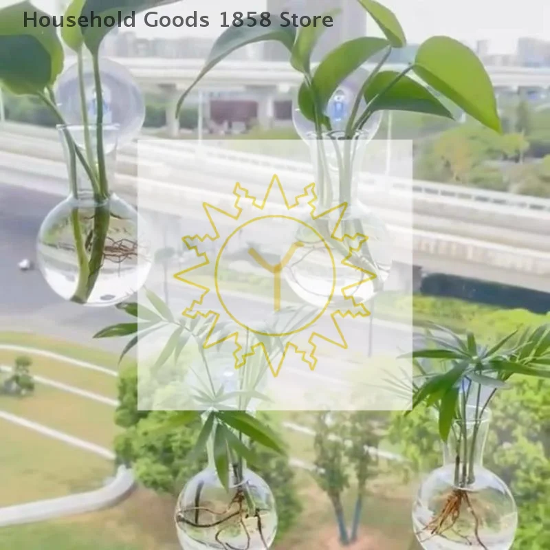 

2/3/4 шт. миниатюрные настенные бутылки для размножения растений, подвесные круглые вазы для домашнего декора, бутылки для гидропоники и стеблей растений