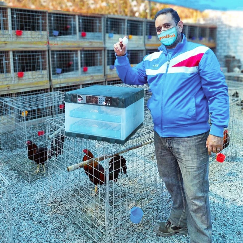 Wholesale 64 320 laying hen  128 egg incubator for home use