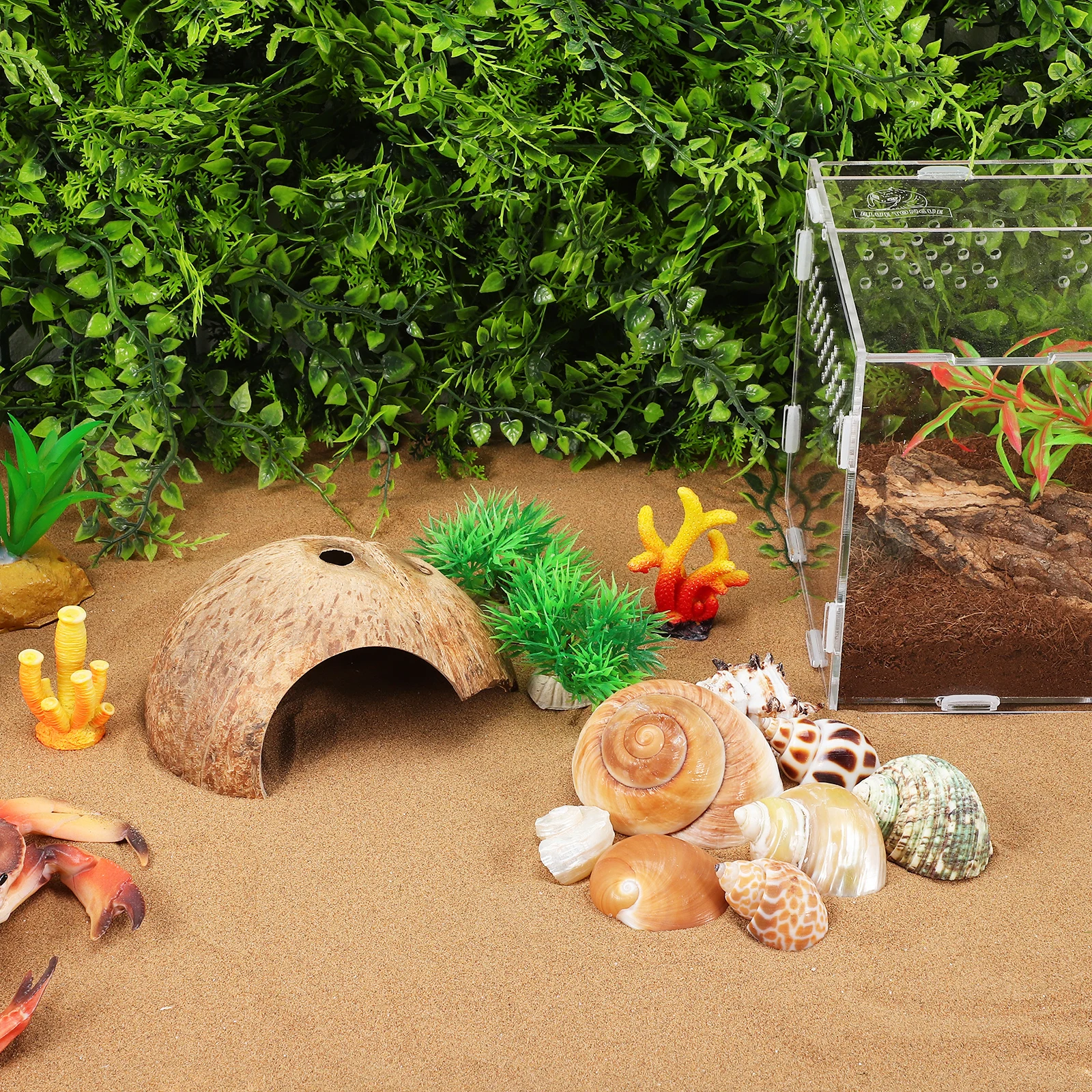 1Set Hermit Crab Hi…