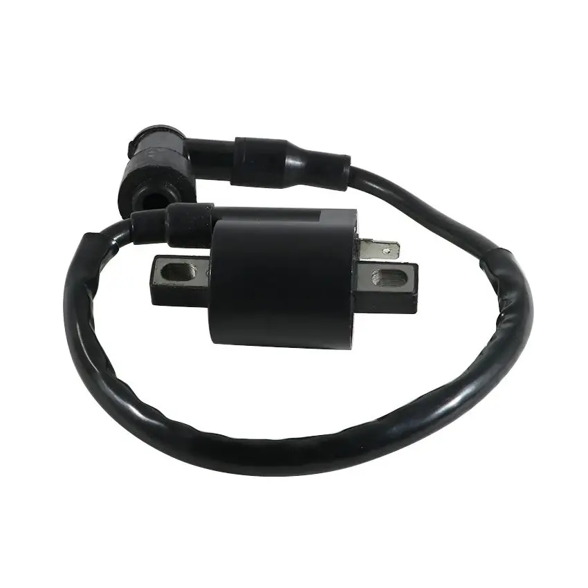 

Ignition Coil High Voltage Package For Arctic Cat ATV UTILITY 150 2009-2019 For Textron ATV Alterra 150 3305-223 3305-222