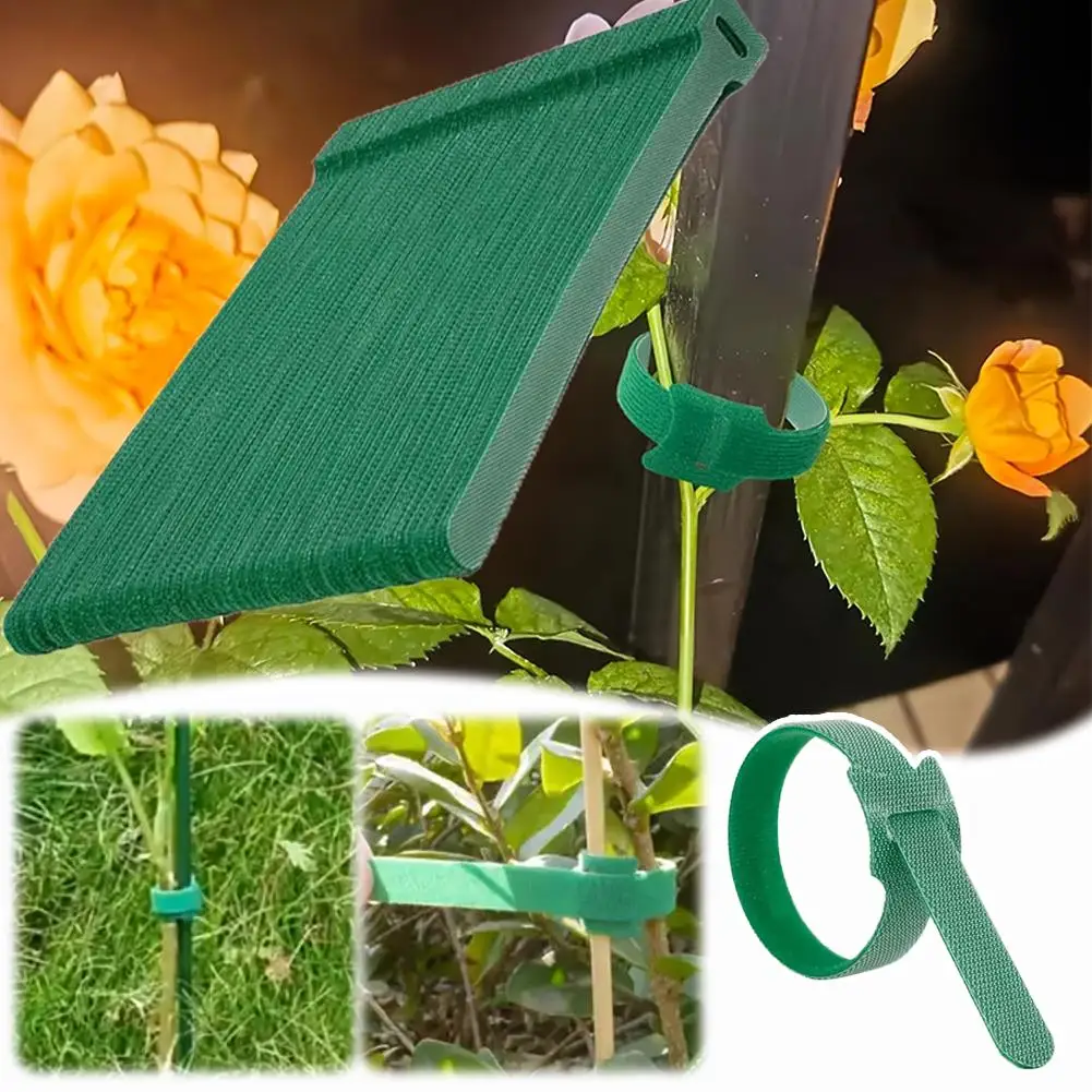 100 Stück/Set Wiederverwendbare Nylon-Pflanzenbinder, Verstellbare Rutschfeste Klettverschlüsse für Kletterpflanzen, Gartenstütze 1/2 Sets