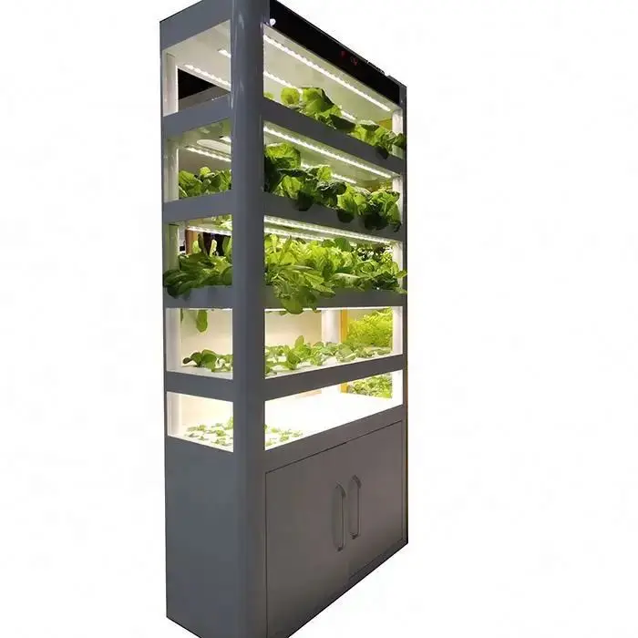 

Indoor Hydroponic Growing System Fully Automatic Plantcraft 20 Pod
