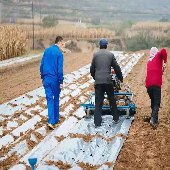 2025Agricultural PE Blow Molding Mulch Film Toughness Warm-Keeping Plastic for Effective Crop Coverage