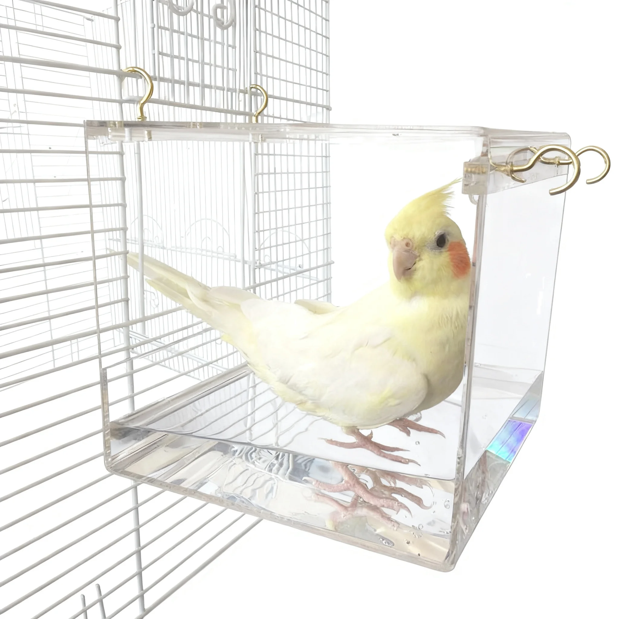 Bird Bath Indoor With Well-Planned Small Bird Bath Satisfies Shower Experiences Bathroom