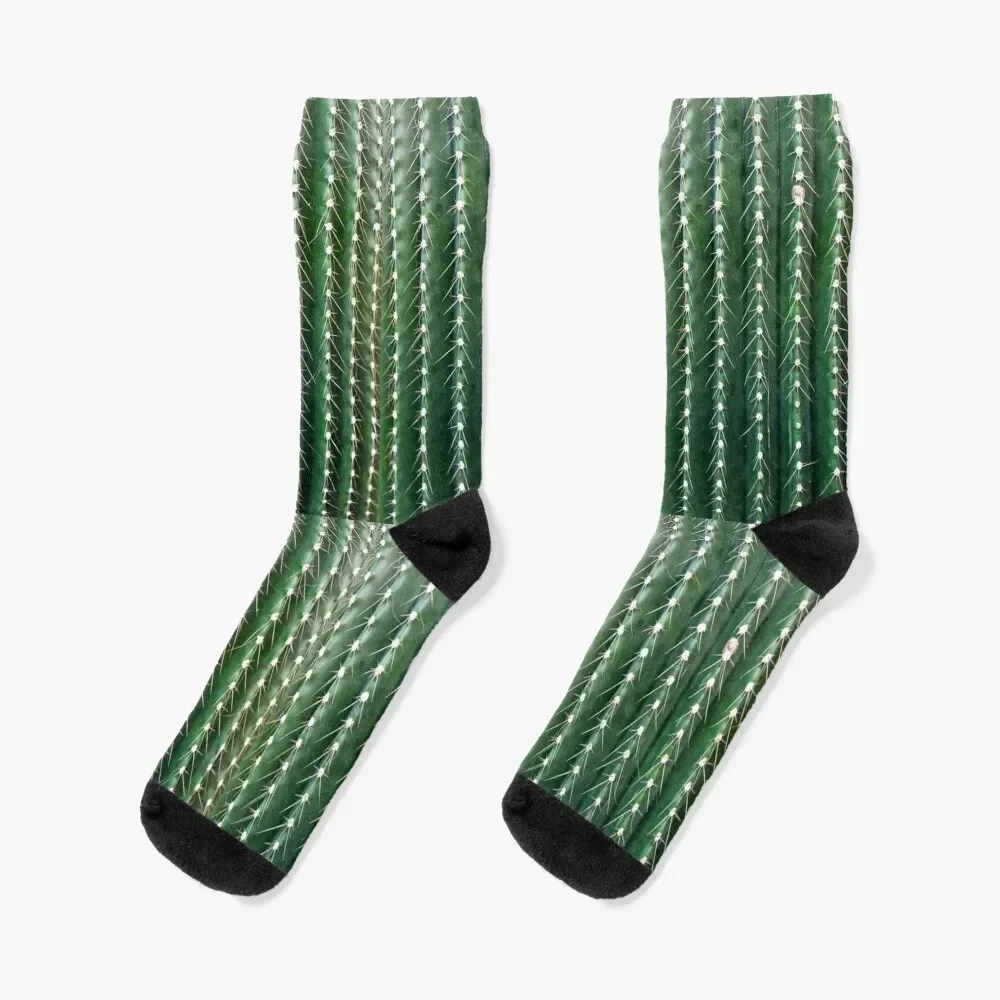 Funny Cactus Socks Antiskid soccer with print loose christmas gifts Socks Female Men's