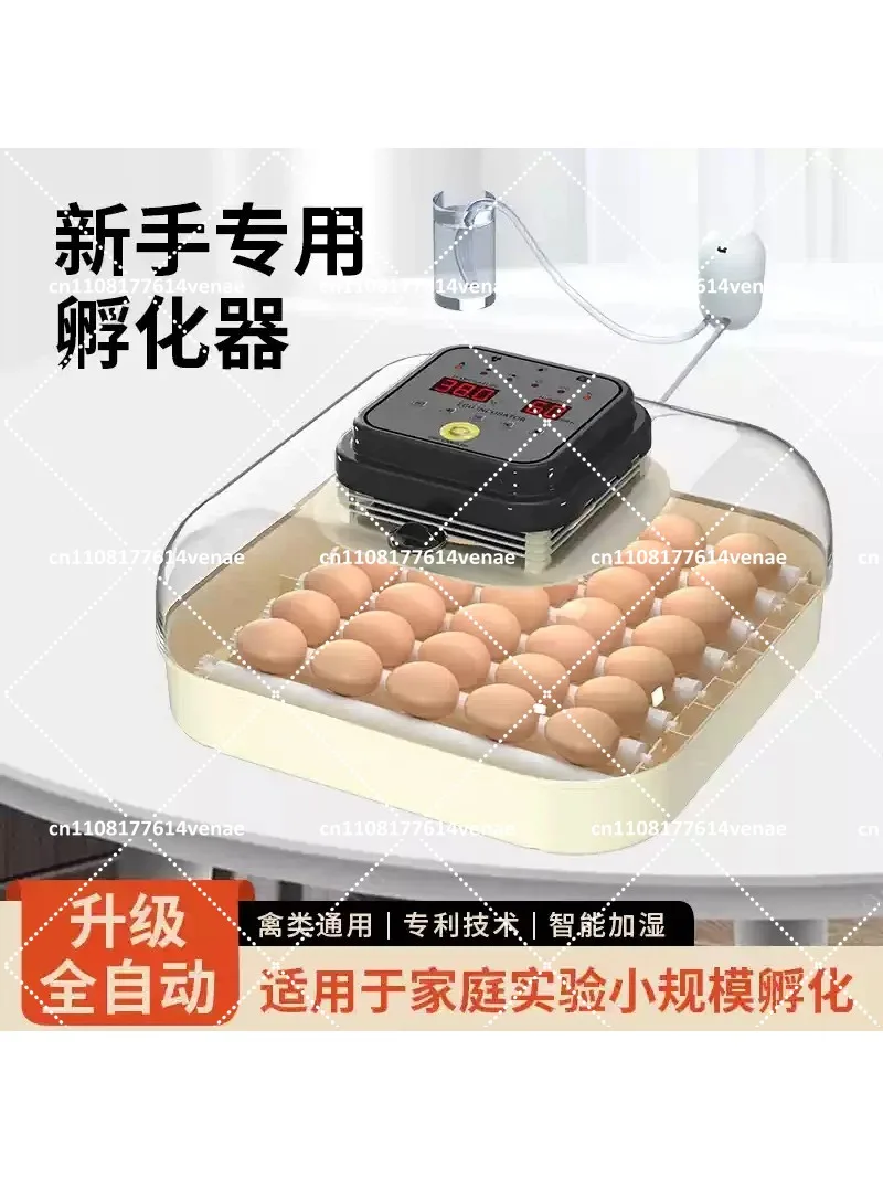30 Egg Incubator with Humidity Display, Egg Candler, Automatic Egg Turner for Hatching Chickens