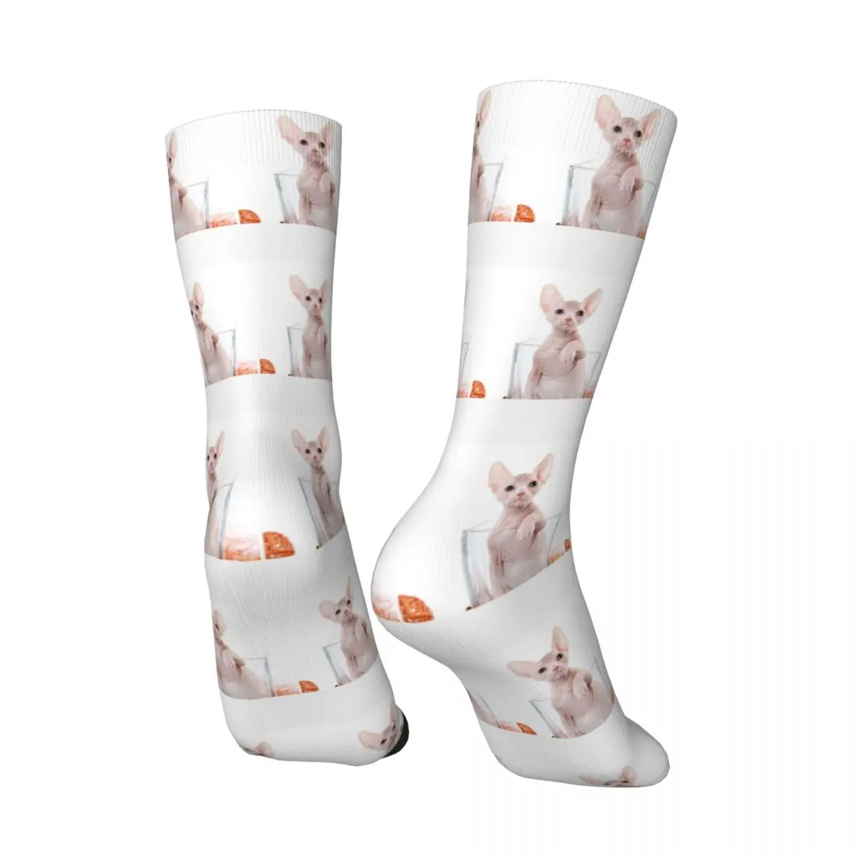 Funny Crazy Sock for Men Charming Kitty Cat Sphynx Without Hair Harajuku Sphynx Hairless Cat Seamless Pattern Printed Crew Sock