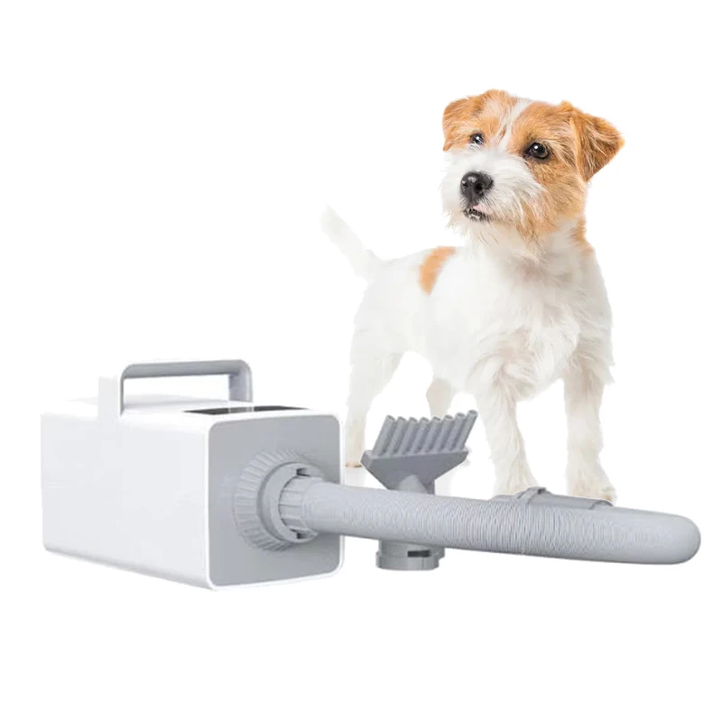 

2022 Pet supplies smart Heating Adjustable Speed newest mini cat dog grooming pet hair dryer