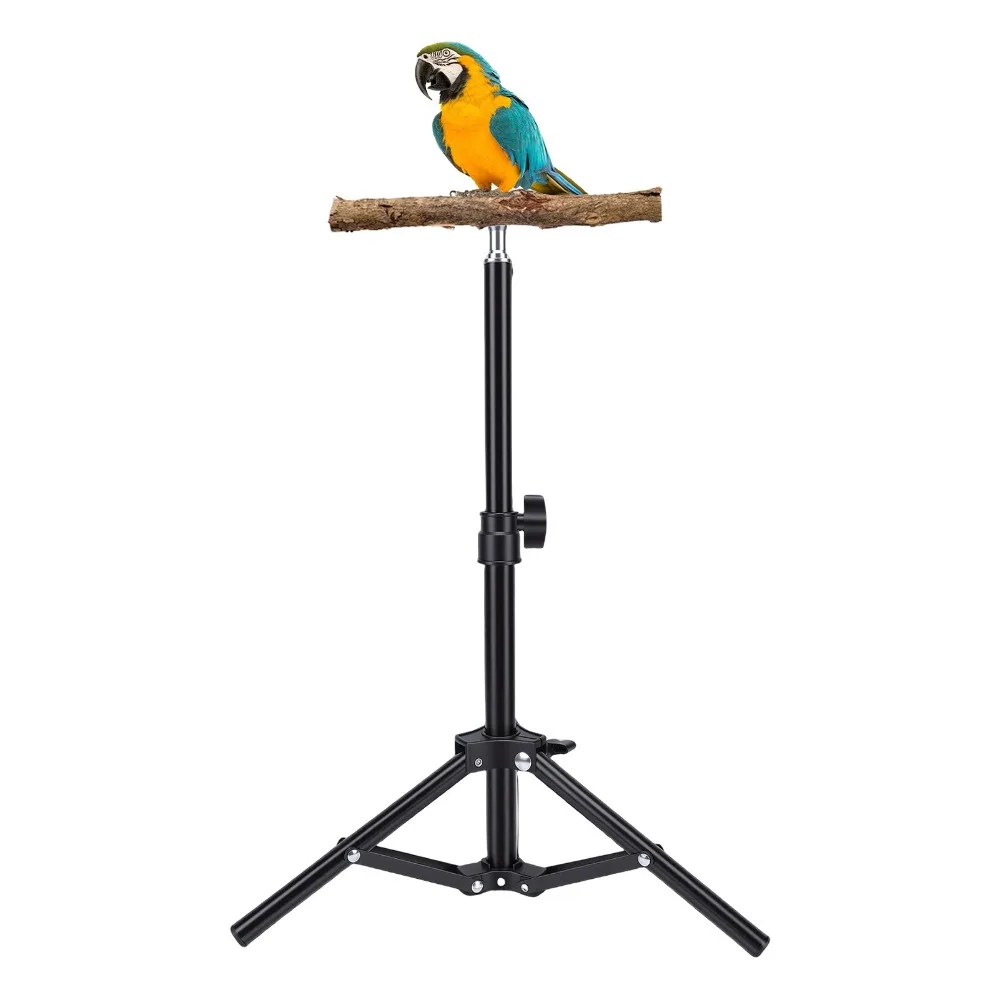 Thumbnail 3 - #87 Bird Perch Stands Comparison Guide