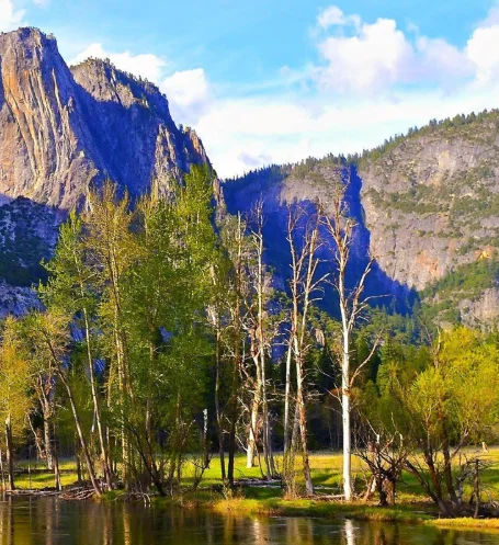 

Smart Wireless Video Doorbell Remote Monitoring Two-way Intercom PIR Motion Detection Infrared Night Vision Security Door Camera