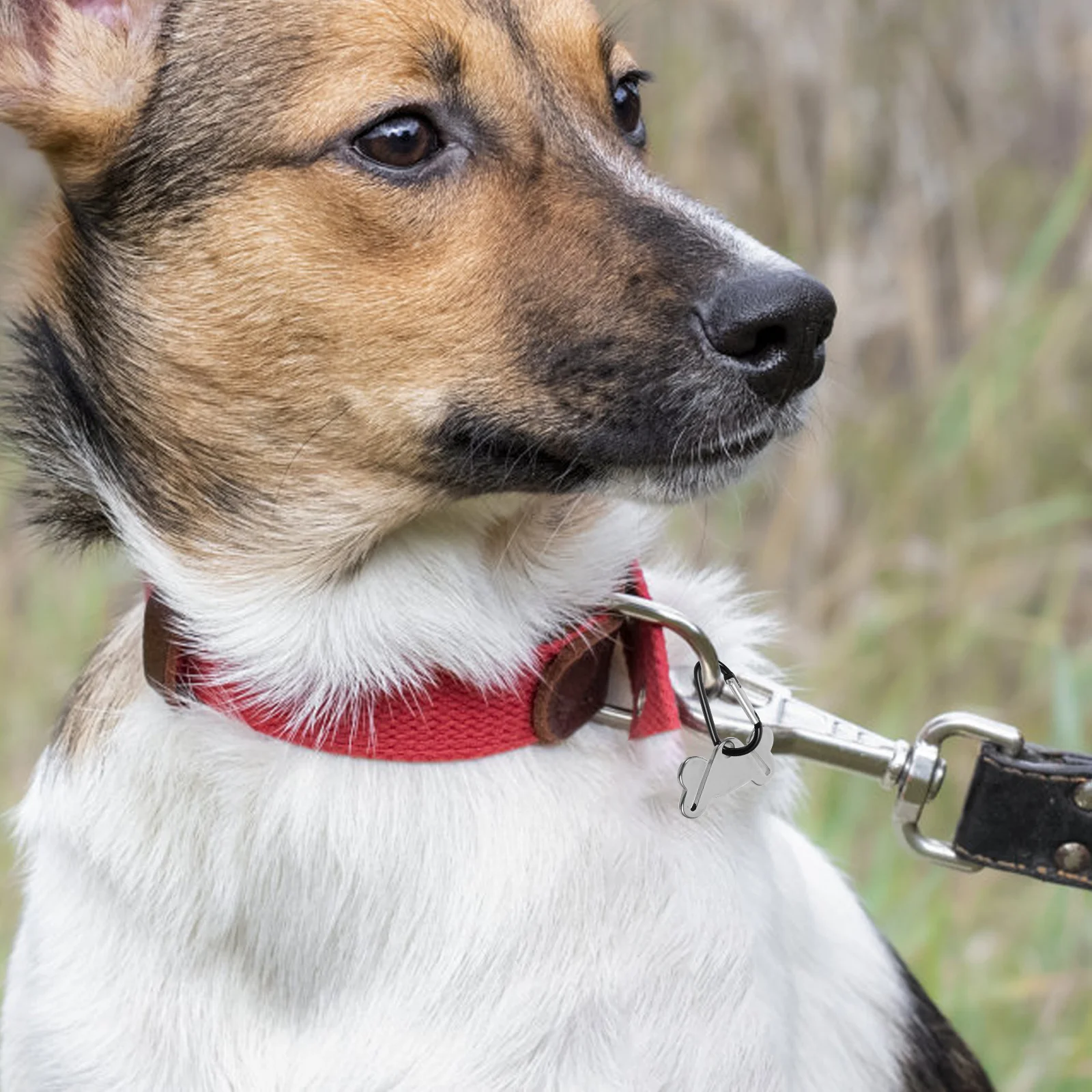 Garbage Clip Waste Carrier Holder Pet Poop Dispenser for Lead Leash Bin Bags Dog Clips Trash