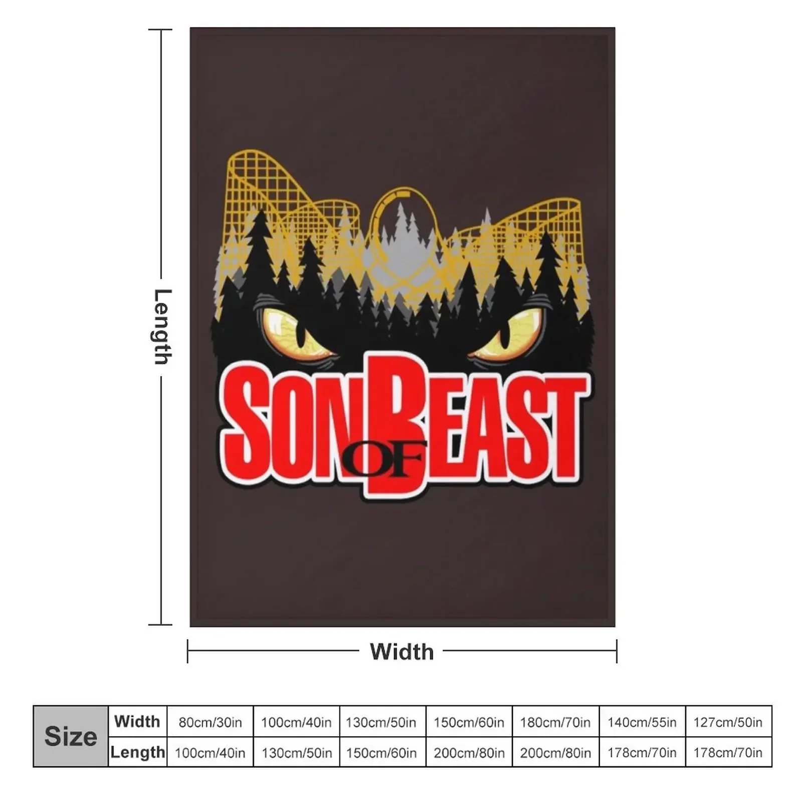 Kings Island Son of Beast Roller Coaster Throw Blanket Blankets For Sofas Hairy cosplay anime Blankets