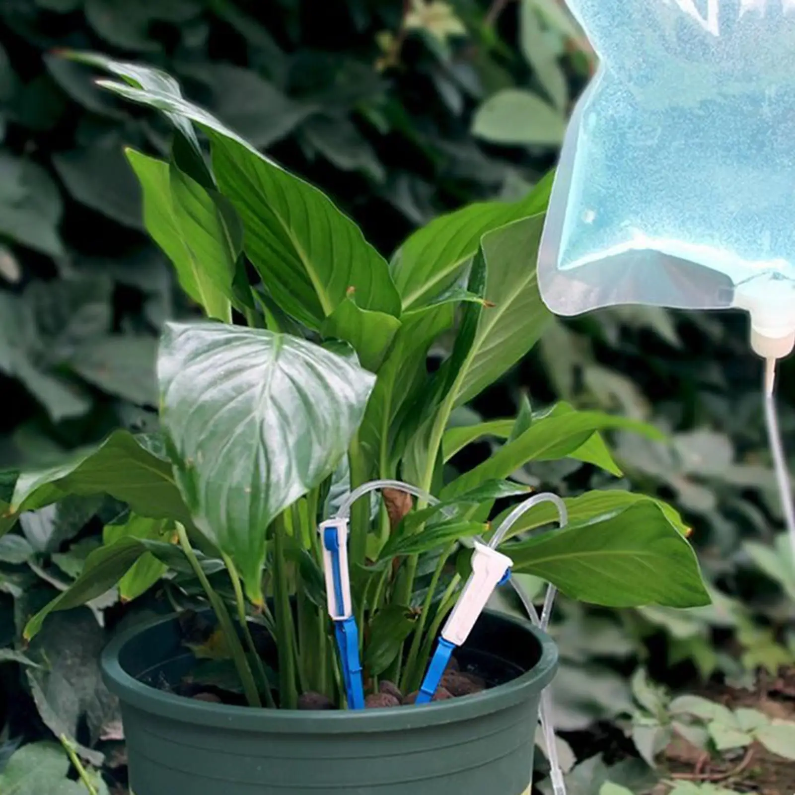 

Water Bags For Plants Adjustable Flow Irrigation System 3.5L Automatic Drip Irrigation System Device Waterer For Garden Balcony