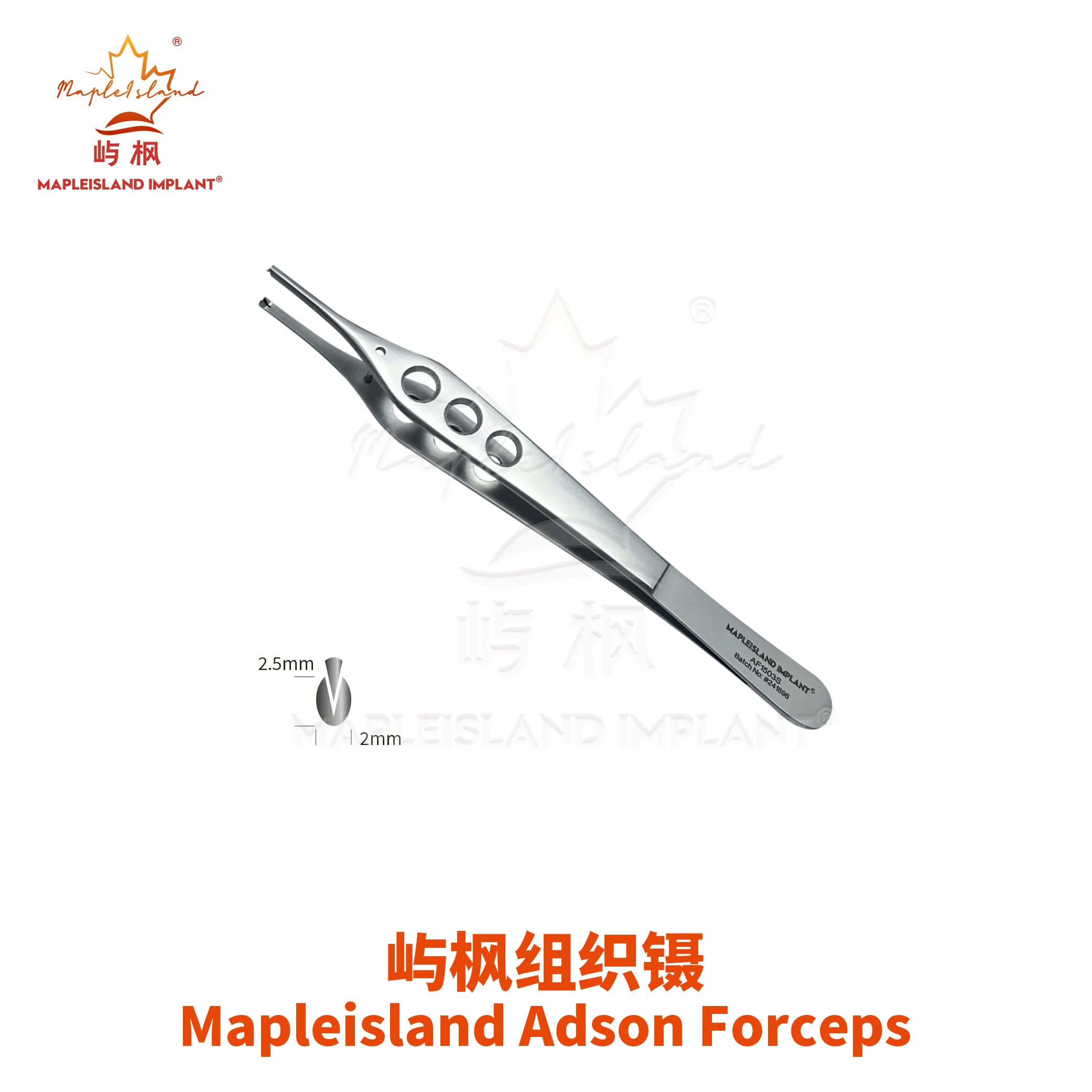 Mapleisland Dental Surgical Instruments Adson Forceps Stainless Steel