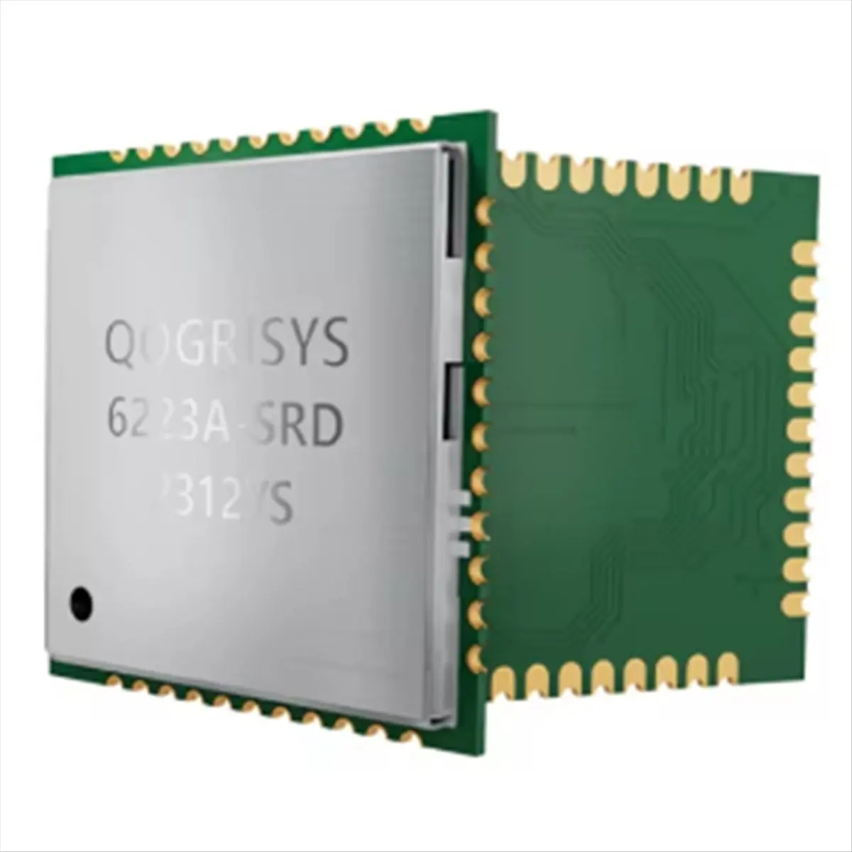 (BABQ) Low Power WiFi Bluetooth 2-in-1 RTL8723DS SDIO Interface 2.4G Wireless Intelligence Speaker Module