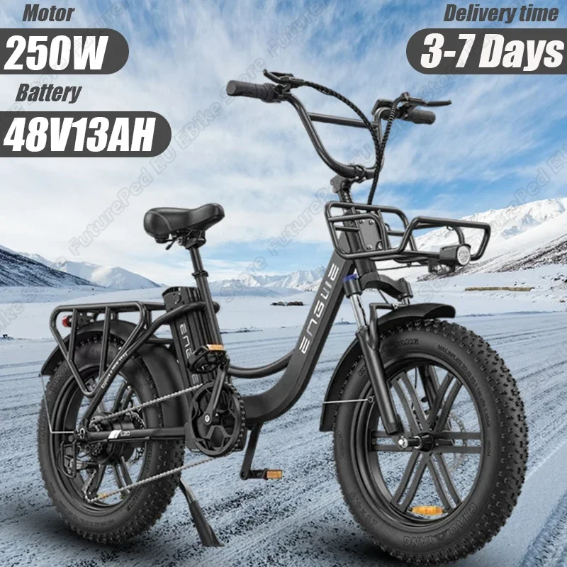 ENGWE L20 E-bike 250W Brushless Motor 48V13AH Lithium Battery Snow Electric Bike 20*4.0 Inch Fat Tire Aldult Electric Bicycle