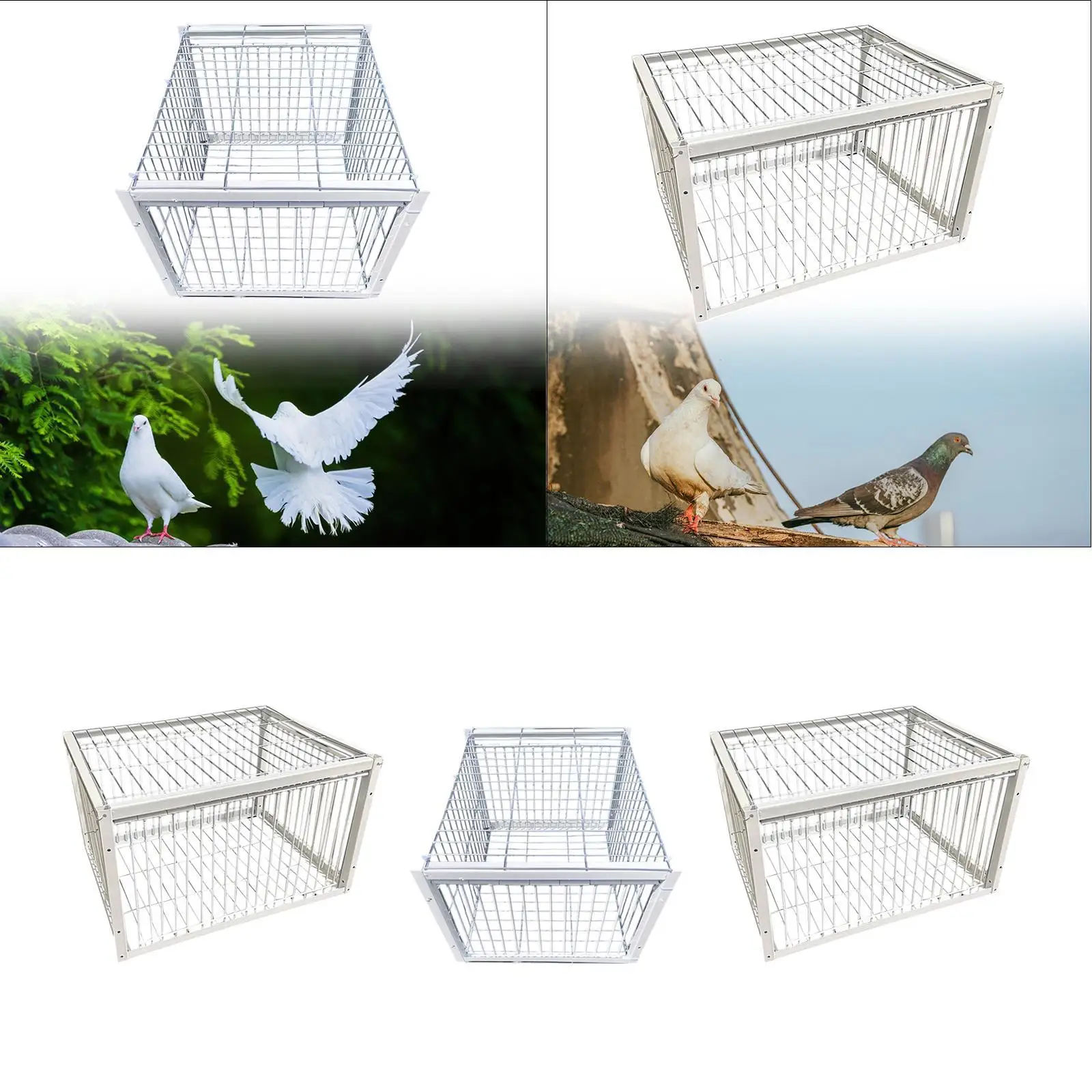 Bird Trap Cage Metal Single Way Entry Pigeon Coop for Chicken Parrots Doves