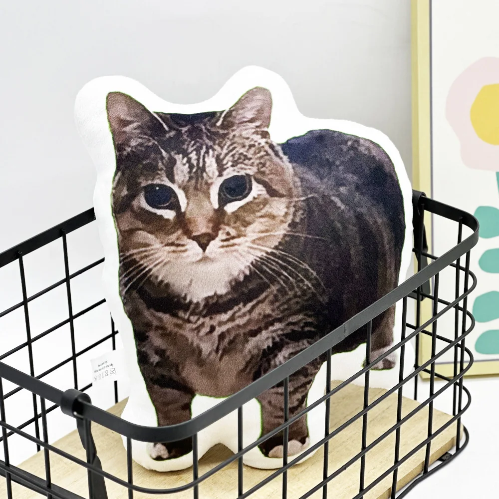 oiiai Internet celebrity cat funny alien pillow printed pillow, high-quality stuffed plush cushion, fan's gift,birthday gift