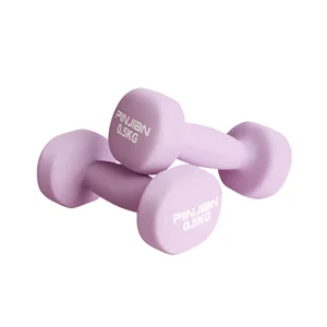 2 Pcs Dumbbell Fitness Equipment Stable Durable Dumbbell 0.5kg Weight Training Home Bodybuilding For Women Fitness Equipment 10 Top Sales Gym Weights Kit - №5