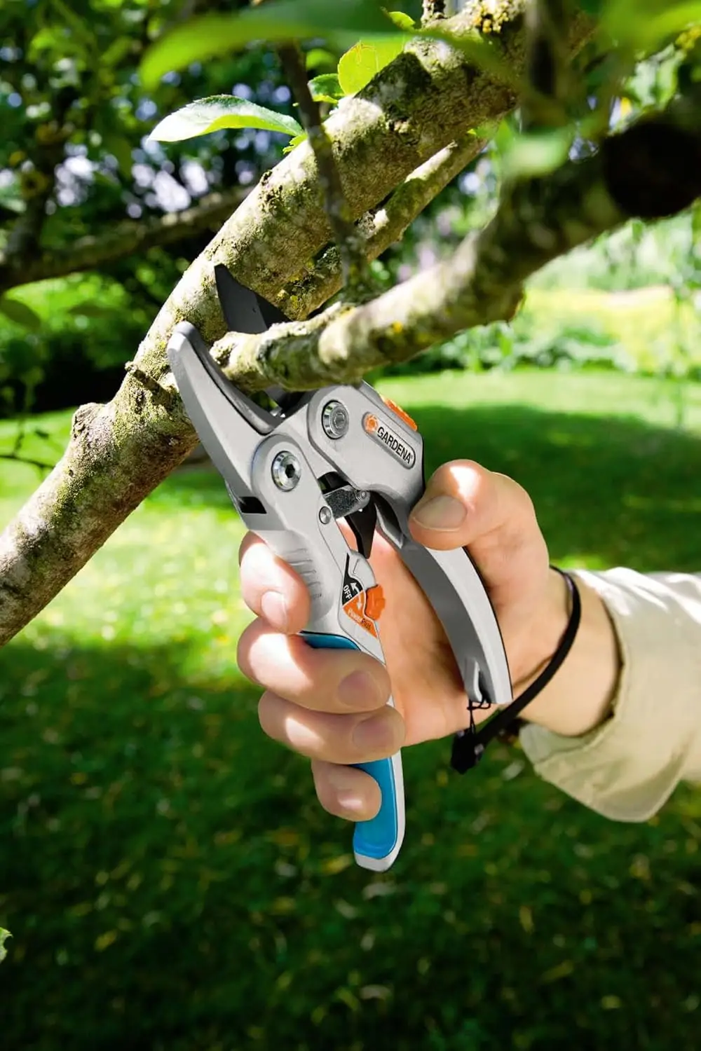 Podadoras de trinquete SmartCut: resistentes con borde de yunque para madera más gruesa y seca de hasta 1" de diámetro, dos posiciones de mango
