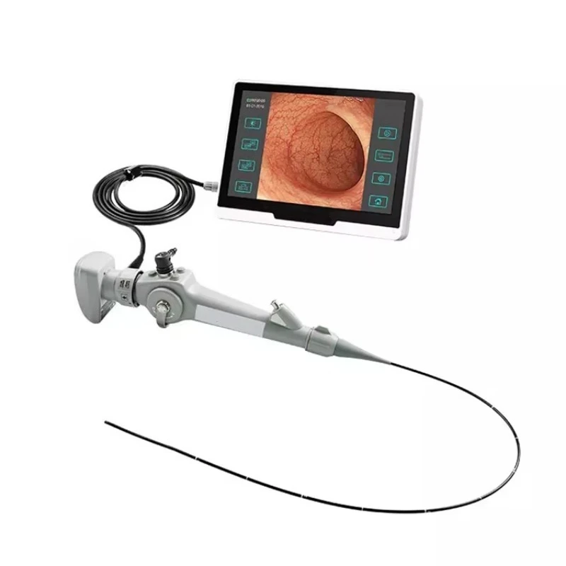 YSVET-EC120 Ysenmed Veterinary Portable Animal Video Endoscope 610mm 10.1 Touch Screen LED 40W Light CRI 90 CE ISO