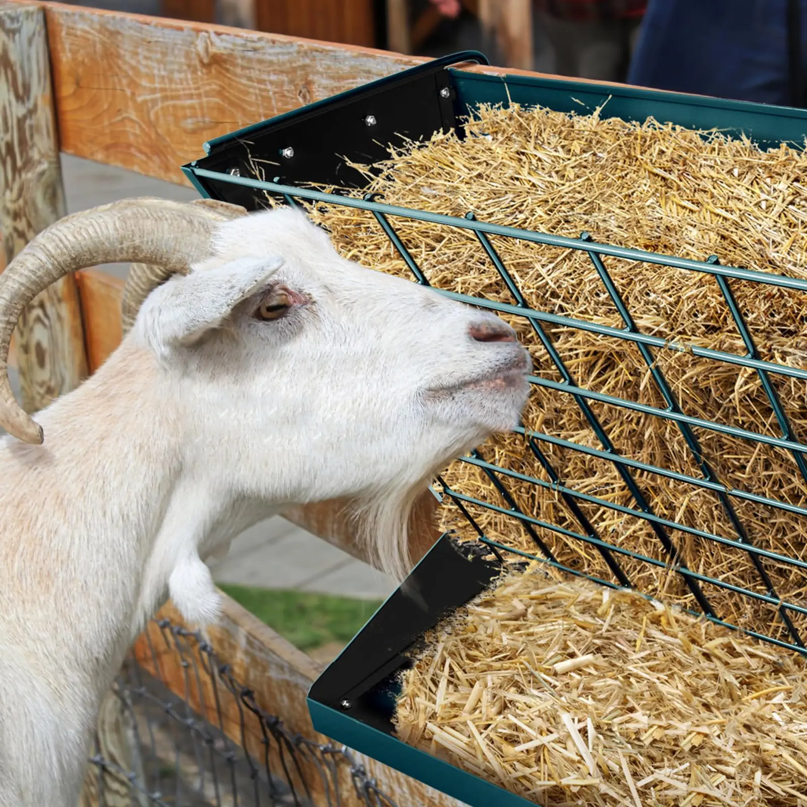 وحدة تغذية الأغنام 2 في 1 من الحديد المجلفن، رف قش الماشية المعلق عالي التحمل #6