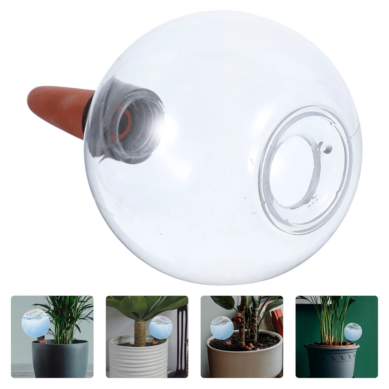 

Creative Plant Watering Globe Automatic Self Watering Bulbs for Indoor Bonsai Potted Plants Garden Water Bulbs for Indoor Plants