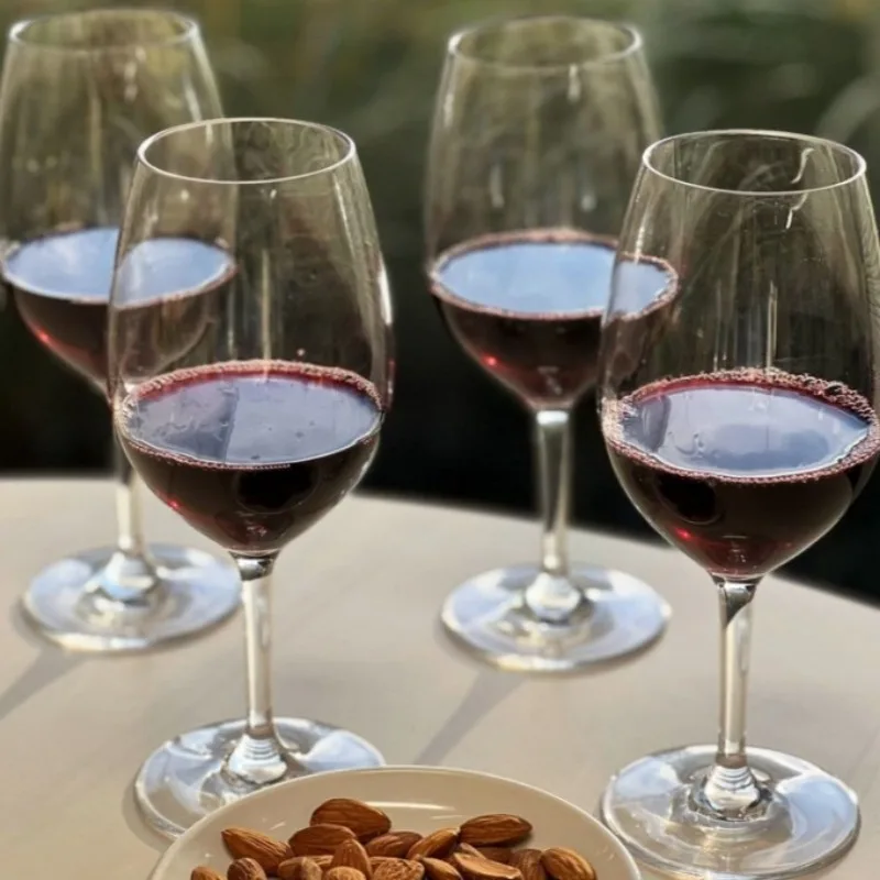 

Wine Glass Set of 4 20oz BPA Free Unbreakable Plastic Red White Wine Cups Reusable Home Party Bar Kitchen Drinkware