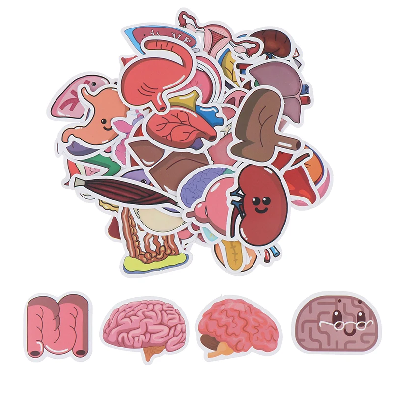 Cartoon Human Organ Medical Anatomy Sticker Laptop Bicycle Guitar Phone Kid Toy DIY Witch Graffiti Waterproof Stickers