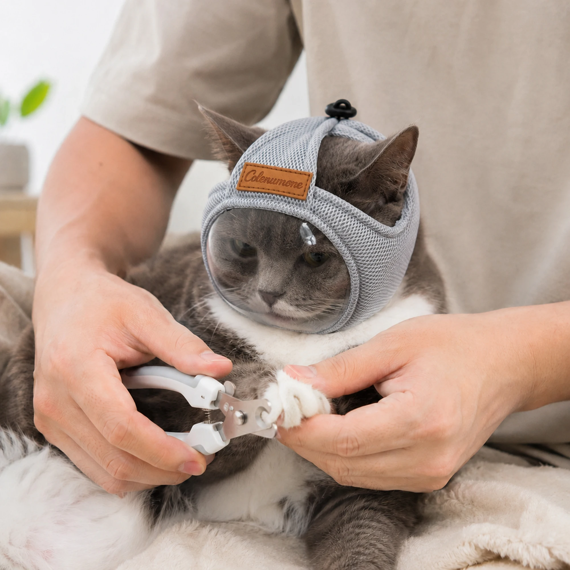 Hair Spa Wellness - New Cat Mask Breathable Cat Hood