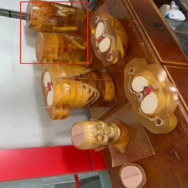 Model somatik pelatihan USG