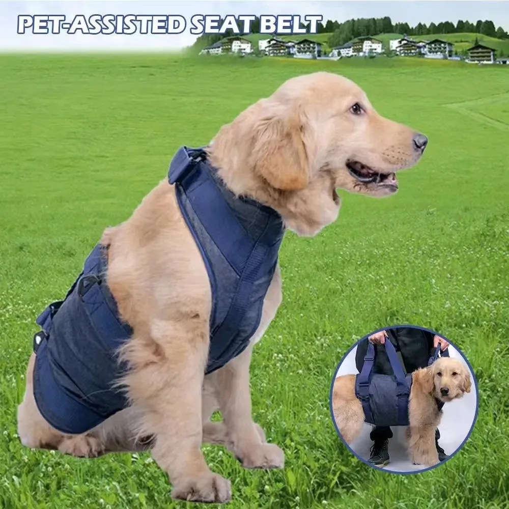 Imagem -04 - Pet Safety Walking Aided Harness para Cães Idosos Ajuda Cinta para Auxiliar e Desabilitar Articulações Ajuda a Andar e a Trainin Idosos