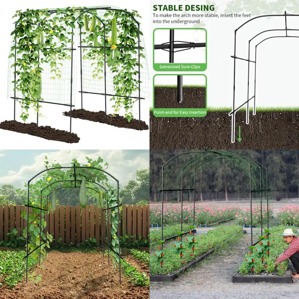 

Large 75 x 71 x 87 Plastic-Coated Metal Garden Trellis for Climbing Grape Vines