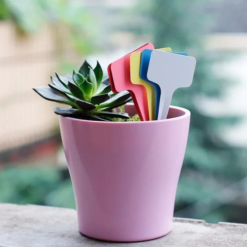 20pcs Garden Plant Labels Plastic Plant T-type Tags Marker 60*100mm Flower Seedling Potted Bonsai Succulent Garden Label White