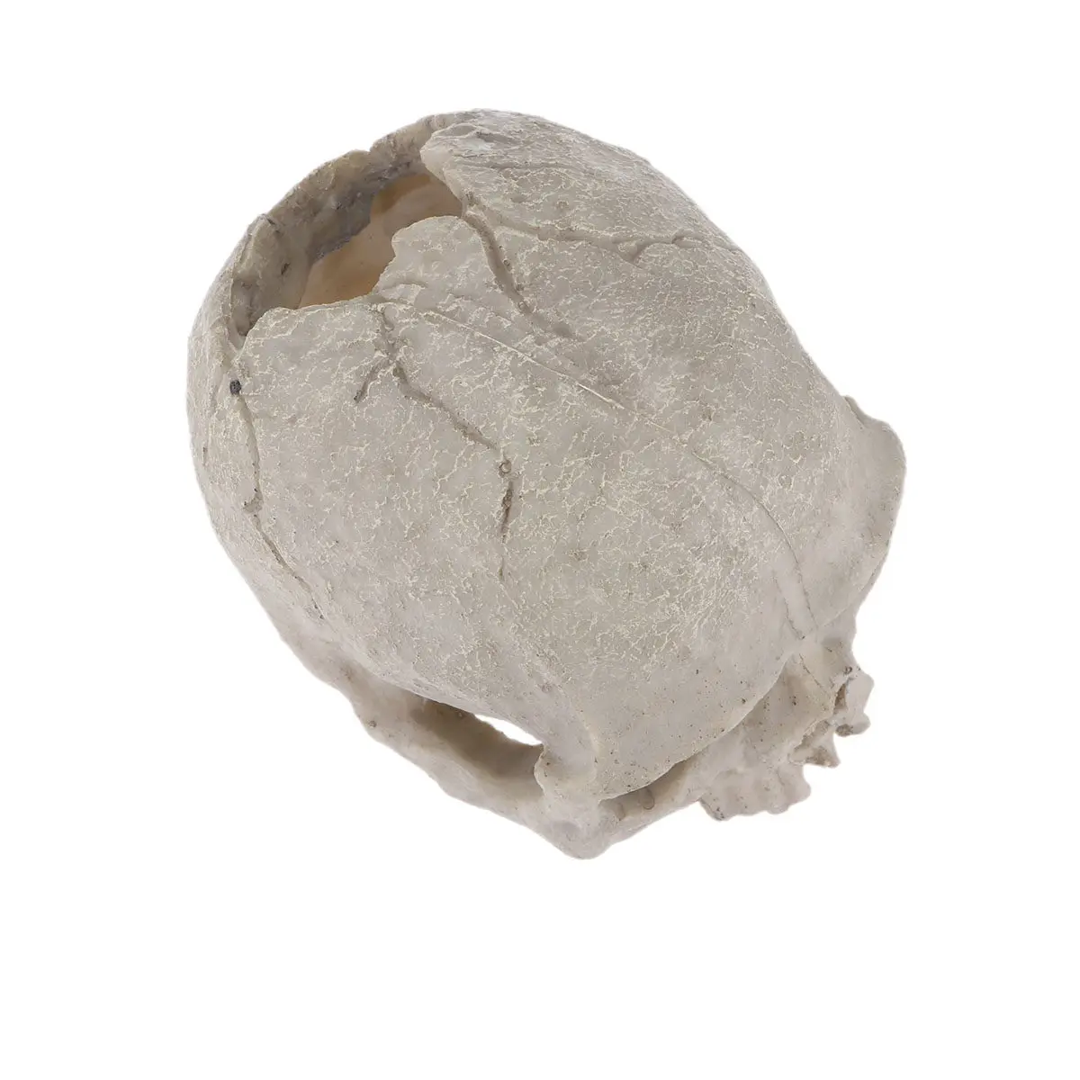 

Укрытие-череп для аквариума: Декоративное место обитания для рыбок - Изделие ручной работы из смолы, имитирующее природную пещеру для рептилий, с натуральным дизайном для безопасного проживания.