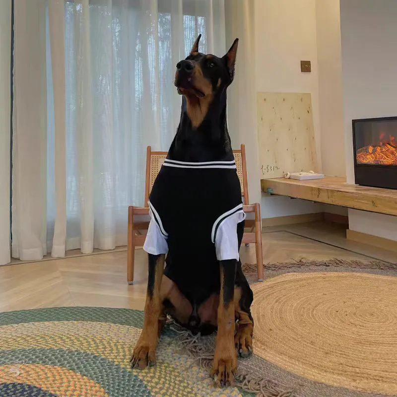 �y�Z�[�����zXL-5XL �n���C�X�^�C�����킢���Ă� T�V���c���K�ȃy�b�g�V���c���^��^���N�[���y�b�g���ʋC���y�b�g T�V���c