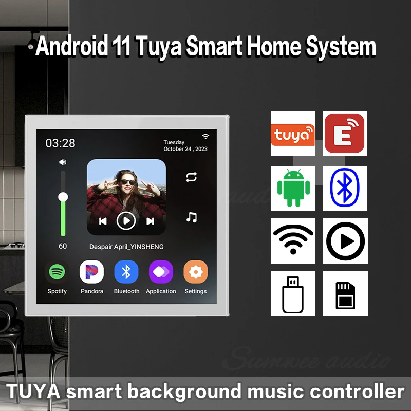 4 inch Andriod 11 Tuya Smart Home Eshare WiFi Bluetooth Touch Home Theater Cinema Digital Stereo Audio Music Wall Amplifier