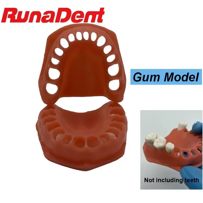 

2pcs Dental Upper/lower Simulated Gums Gum Model Dentisit Student Learning Teaching Model