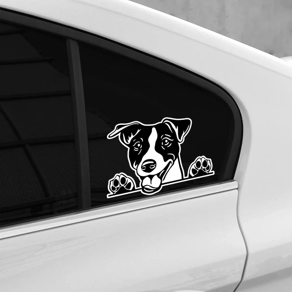 Pegatina para coche Jack Russell Terrier, pegatina de vinilo impermeable con diseño de perro lindo, accesorios decorativos para motocicleta y coche