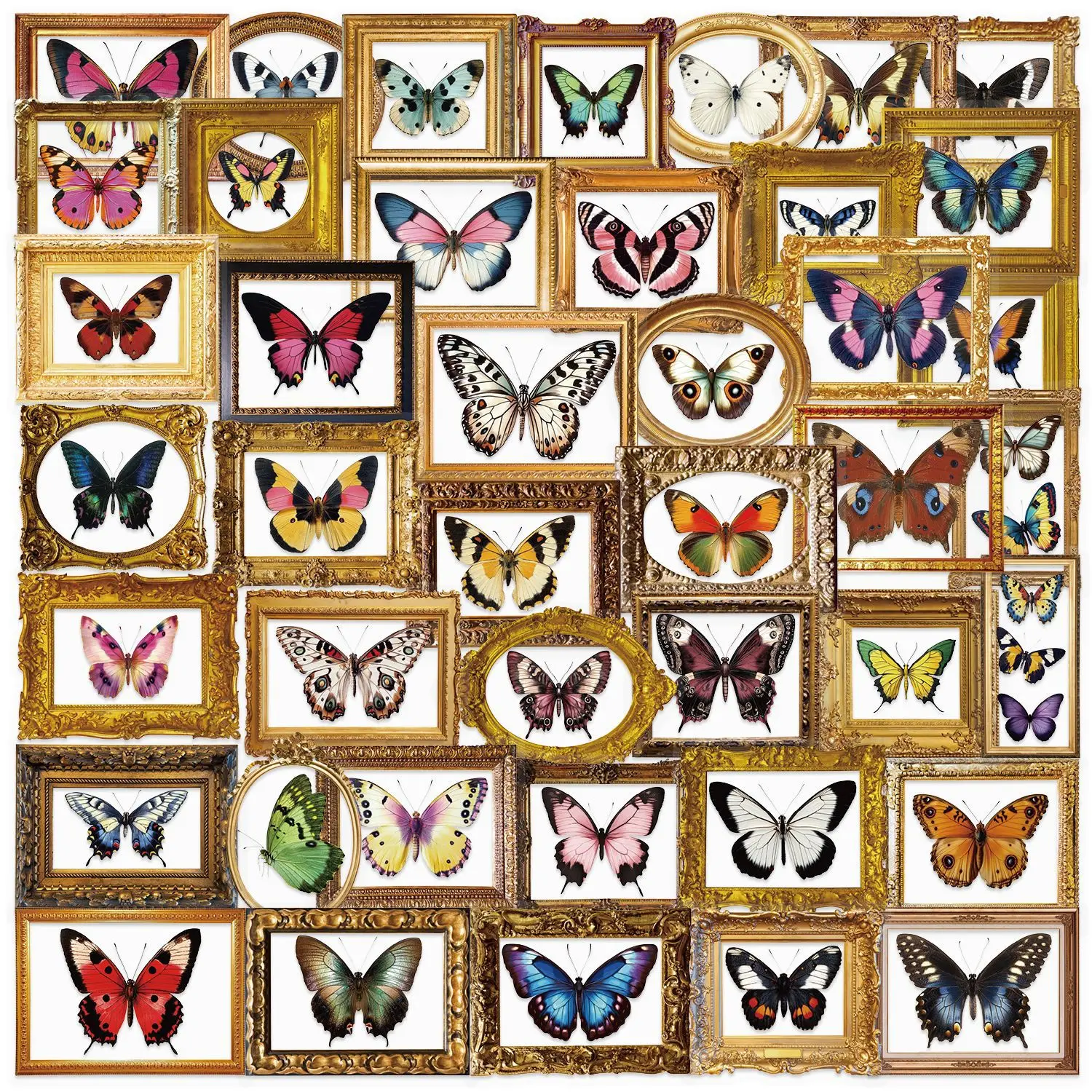 10/30/52PCS Retro Butterfly Vintage Frame Transparent PET Sticker DIY Phone Laptop Luggage Skateboard Graffiti Decals Fun Gift