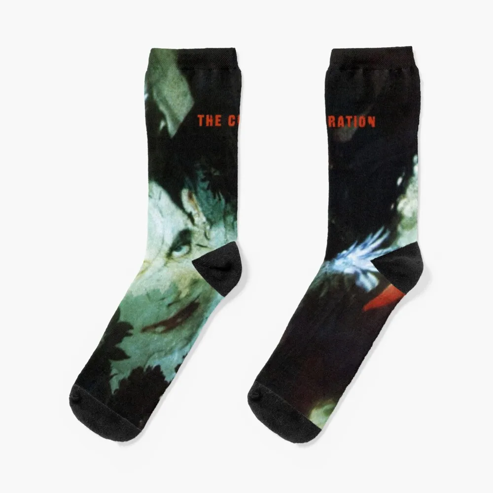 

the disintegration of cure 2020 siangkamis Socks hockey hip hop funny sock bright garter Socks Man Women's