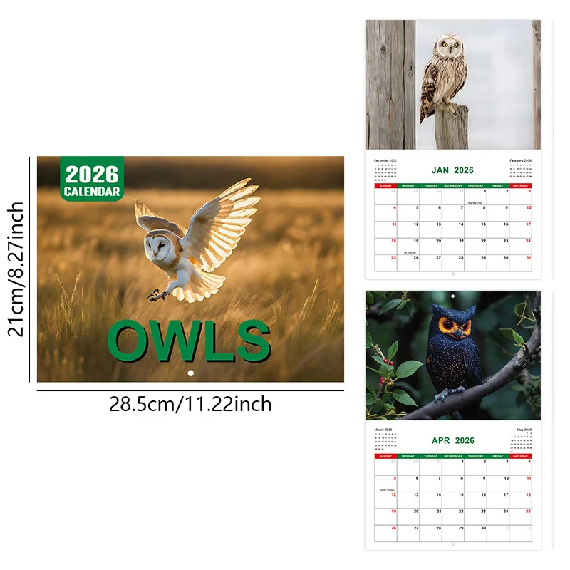

Календарь на тему совы на 2026 год, календарь с рисунком животных, декоративный календарь, ежегодный ежемесячный календарь планирования, подходит для спальни, офиса