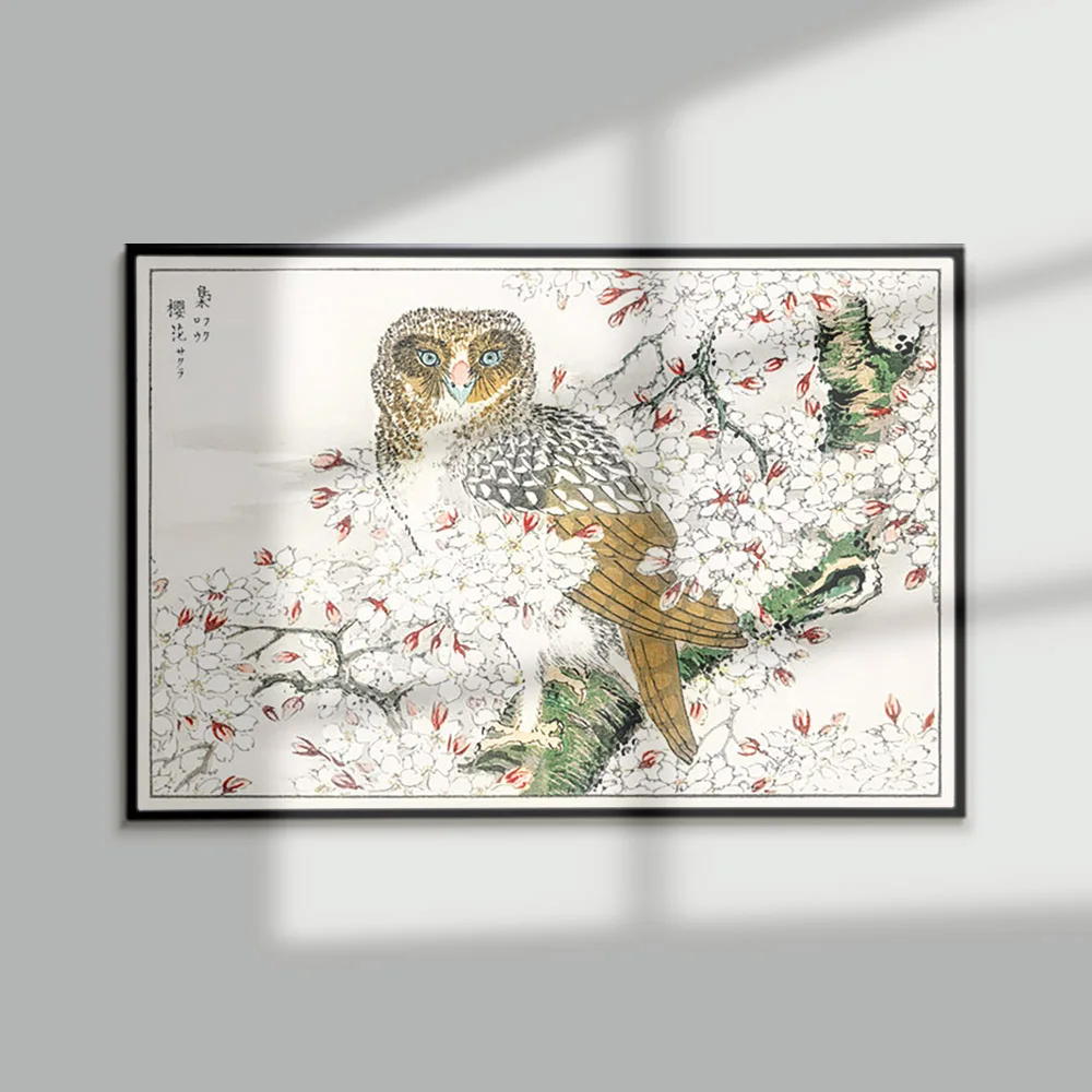 Bird Pictorial Monograph Poster Short-eared Owl And Cherry Flower Illustration Canvas Painting Living Room Decor Wall Stickers