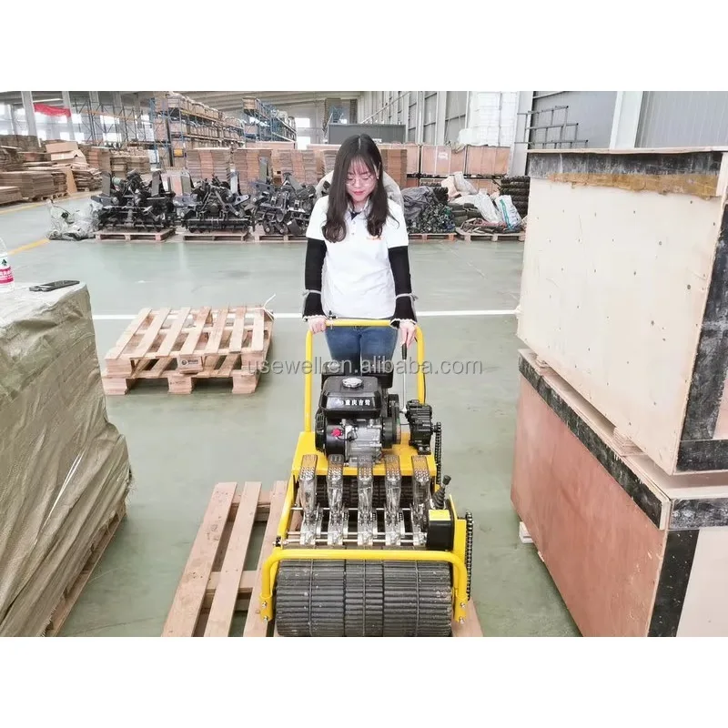 الزراعة متعددة الصفوف حديقة خضراء زارع الخضروات آلة بذارة السمسم الملفوف البصل الثوم البذر زراعة آلة البذر #4