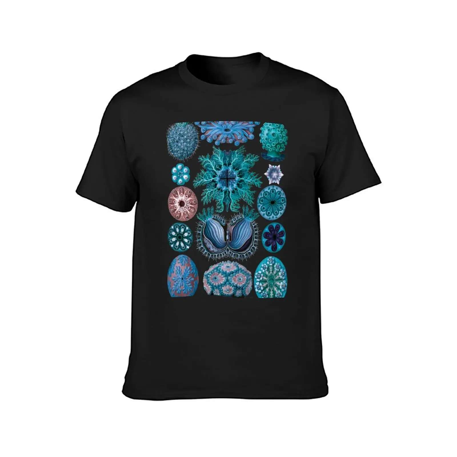 Ernst Haeckel Ascidiae Sea Squirts Blue T-Shirt cute clothes quick-drying mens graphic t-shirts pack